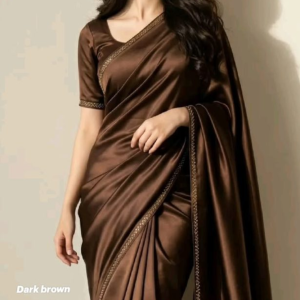 Midnight Espresso Brown Embroidered Sheer Saree